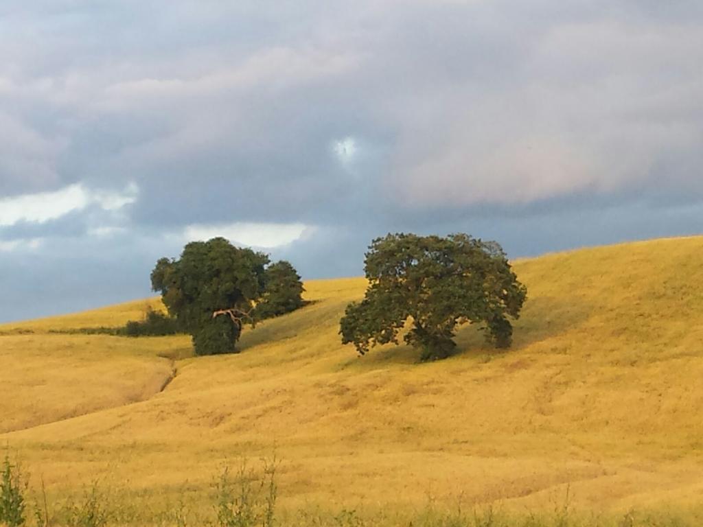 Agriturismo San Pierino Βίλα Monteroni dʼArbia Εξωτερικό φωτογραφία