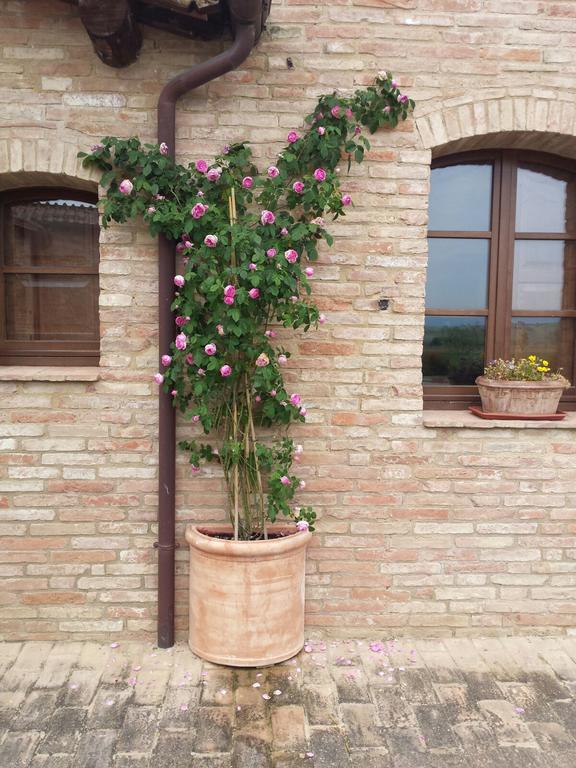 Agriturismo San Pierino Monteroni dʼArbia Εξωτερικό φωτογραφία